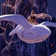 Image for article titled io9 Roundup: March 11, 2012